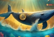 Bitcoin Whale Activity Rises