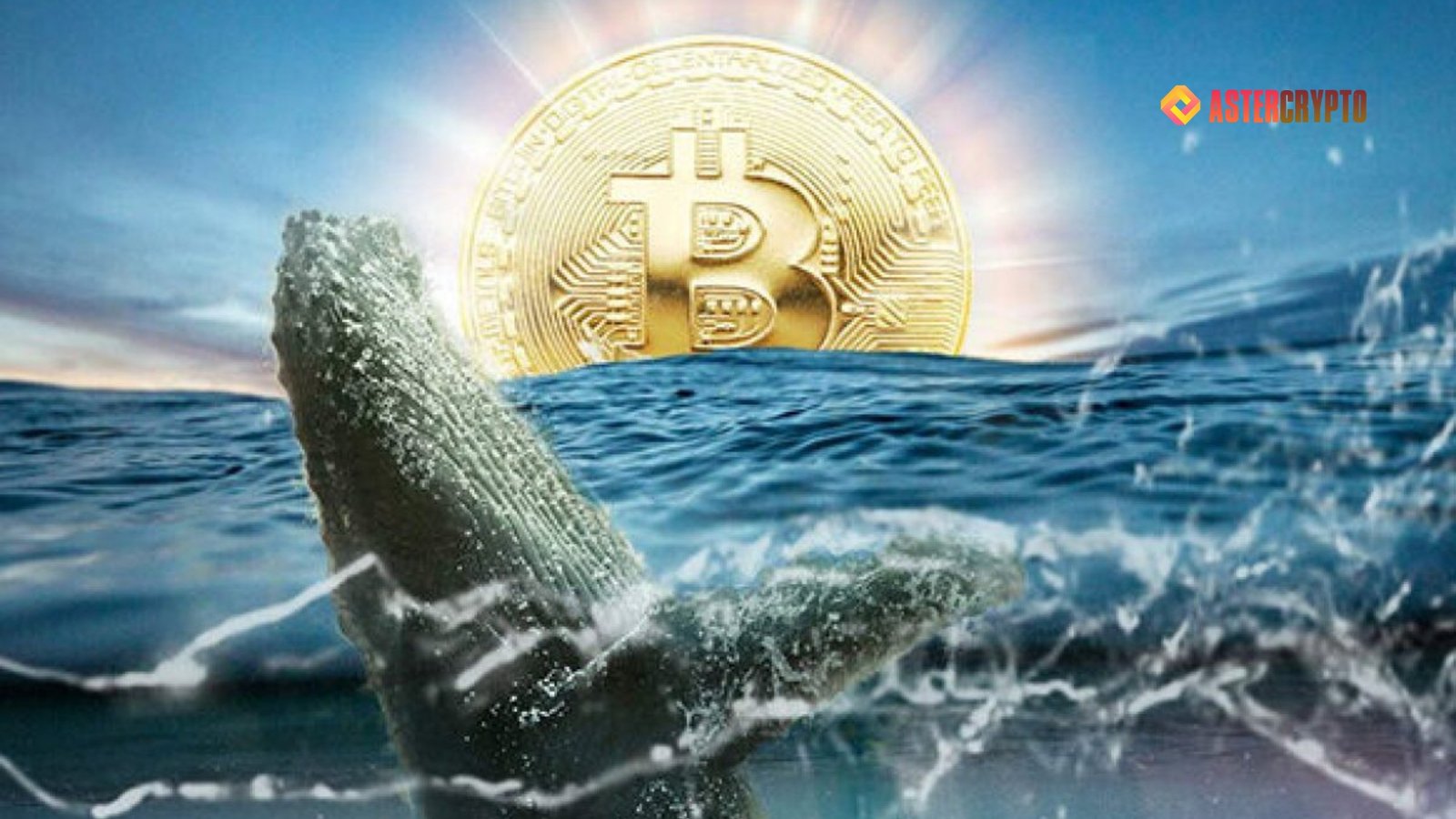 Whales Buy Bitcoin Aggressively During Bull Markets