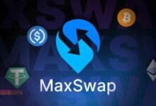 MaxSwap Review 2024: A Comprehensive Analysis