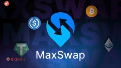 MaxSwap Review 2024: A Comprehensive Analysis