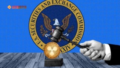 Ripple SEC Case: Lawyers Explain XRP Lawsuit Appeals