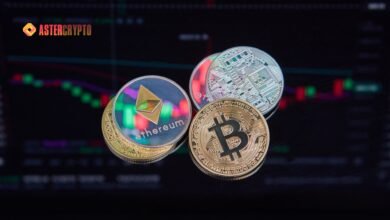 Crypto Market Recovers From Steep Correction, Here’s Why