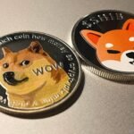 Shiba Inu Dogecoin