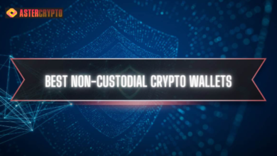 Best Non-Custodial Crypto Wallets