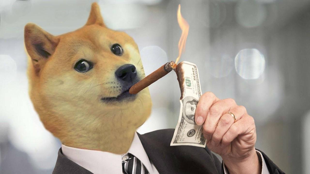 Doge Uprising Tackling Regulations