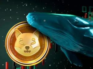 Dogecoin Declines Whale Activity Spikes