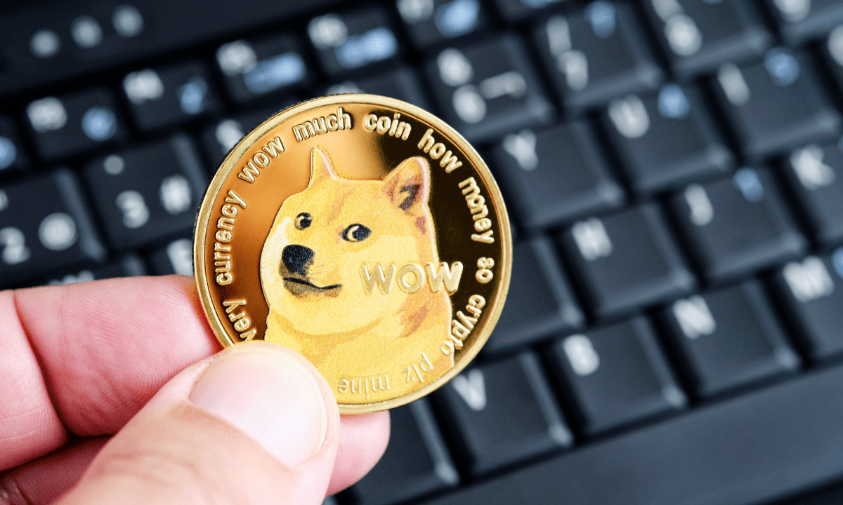 Why Neptune Digital Invests in Dogecoin