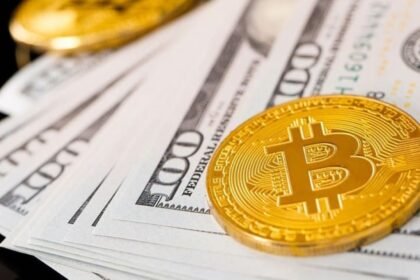 Internal De-Dollarisation