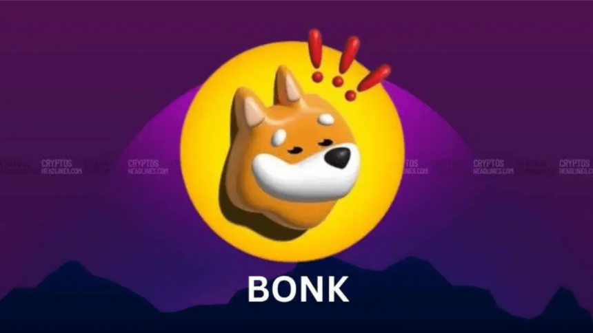 BONK Token Meme Coin's