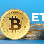 Institutional Investors