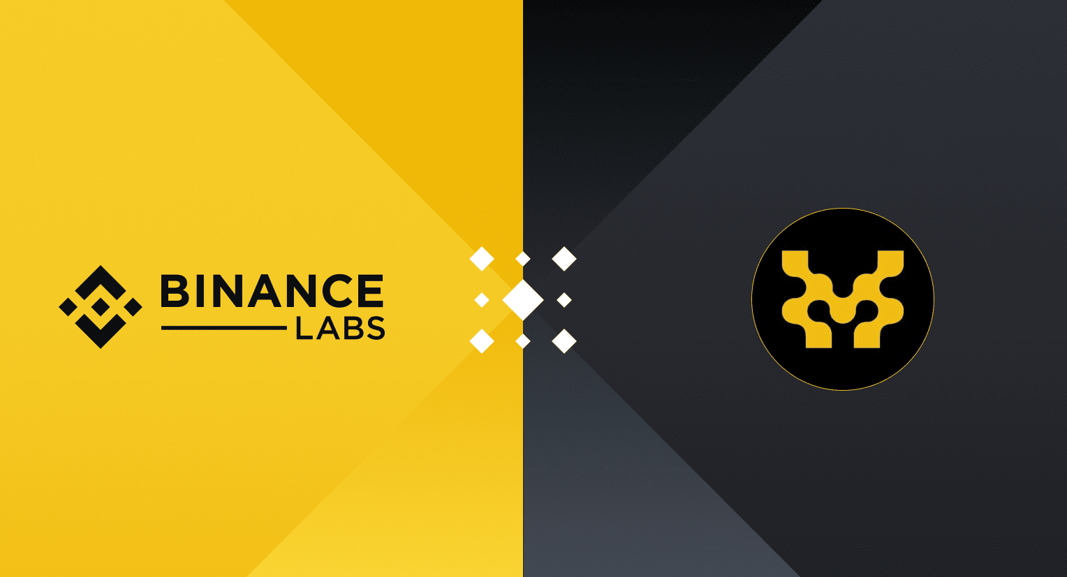 Movement Labs Outlook