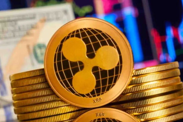 XRP and Bitcoin Market
