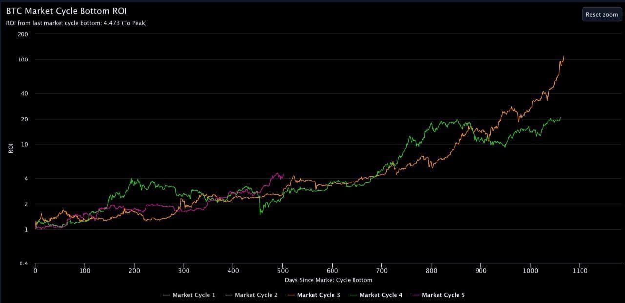 Bitcoin Sentiment Analysis in Different Market Cycles