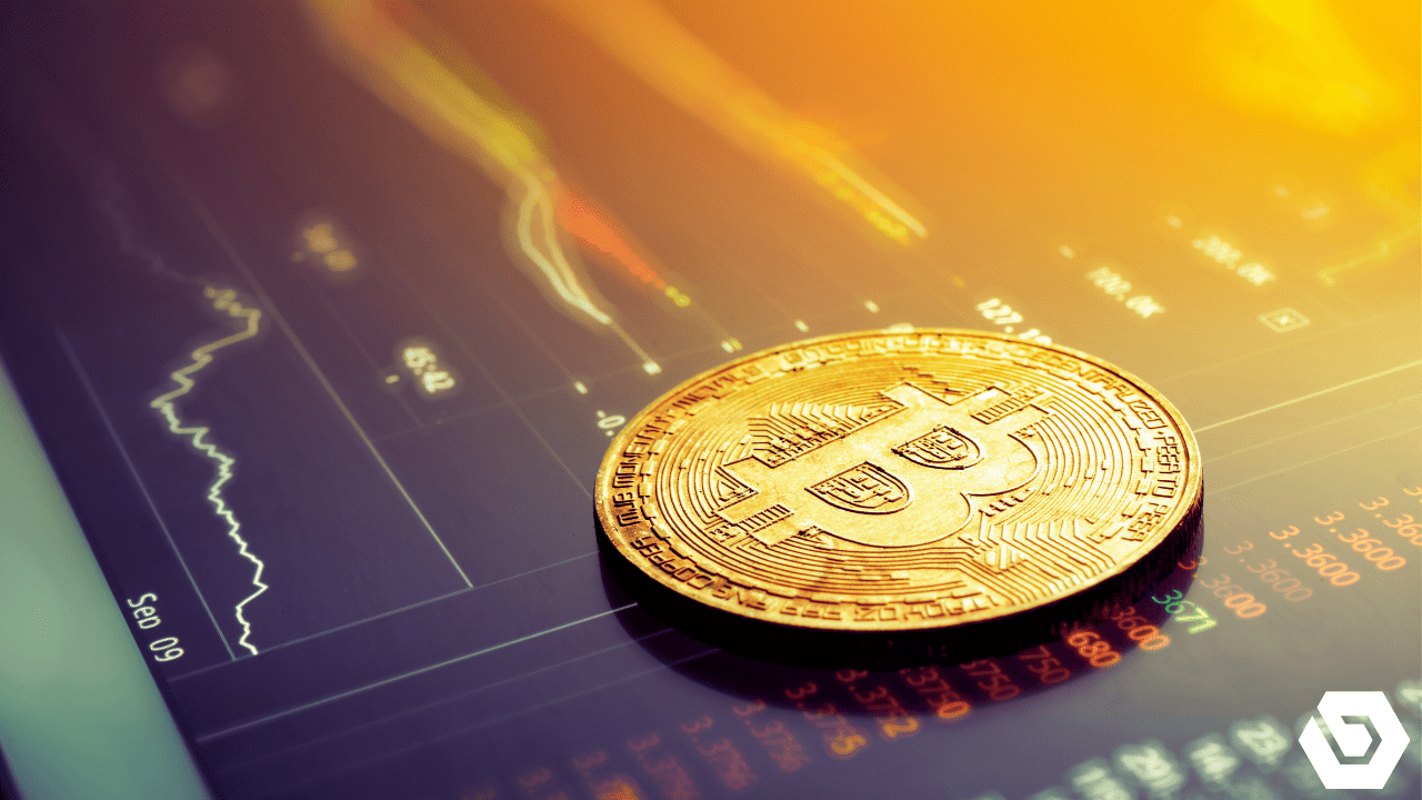 Breaking Altcoin Portfolio Management News and Market Updates