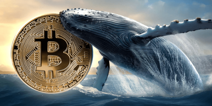 Top Bitcoin Whale Movement Trackers in 2025